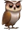 owl--v2